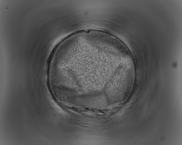 X0000092230987200710051215