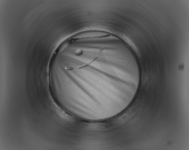 X0000092230988200710051215