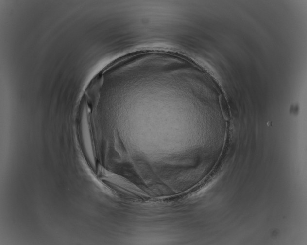 X0000092230989200710051215