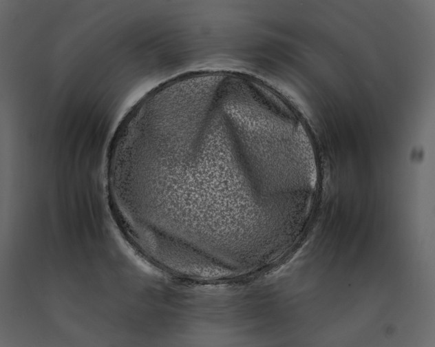 X0000092230990200710051215