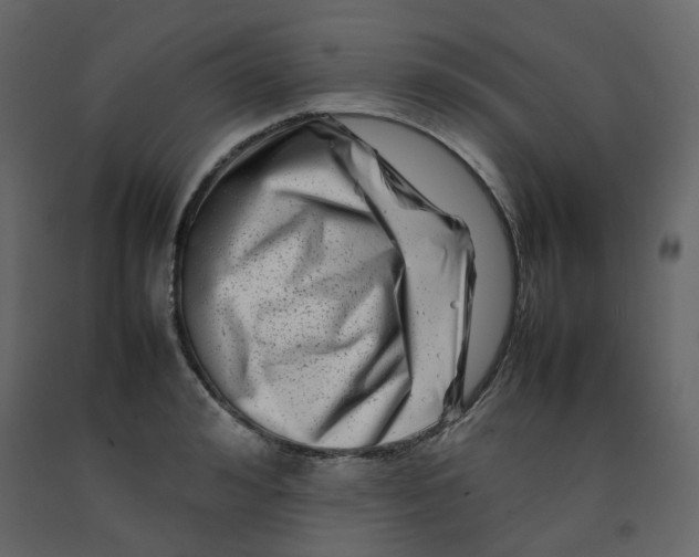 X0000092230992200710051215