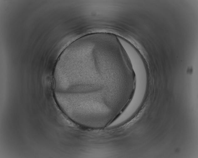 X0000092230993200710051215