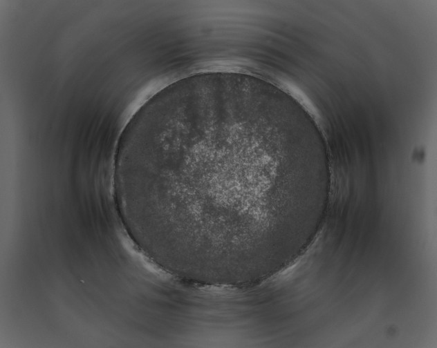 X0000092230994200710051215