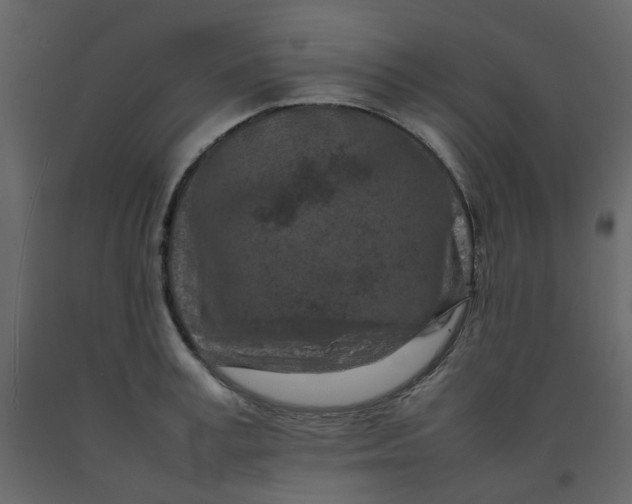 X0000092230995200710051215