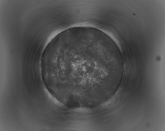 X0000092230998200710051215