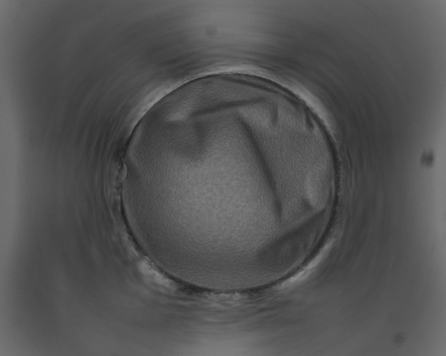 X0000092231001200710051215