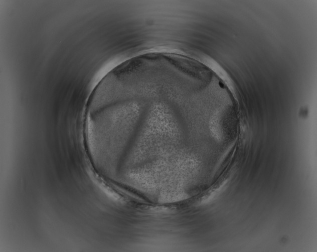 X0000092231002200710051215