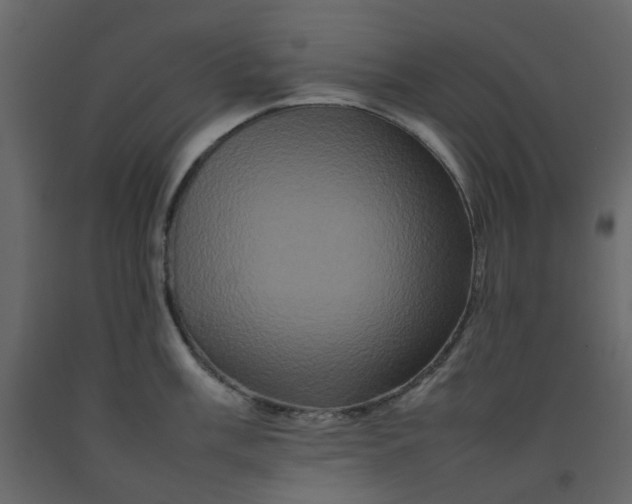 X0000092231003200710051215