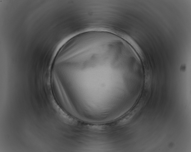 X0000092231004200710051215