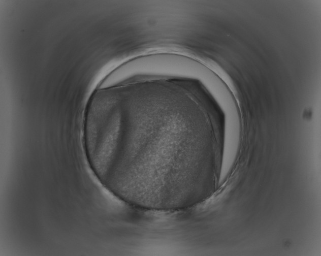 X0000092231005200710051215