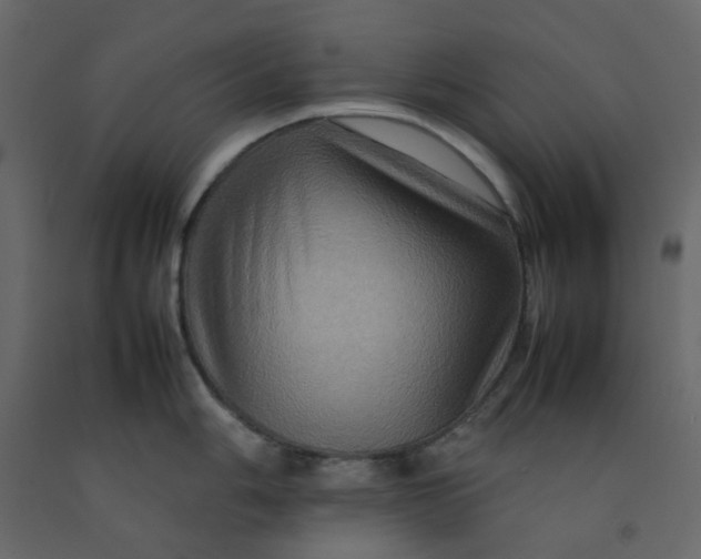 X0000092231006200710051215