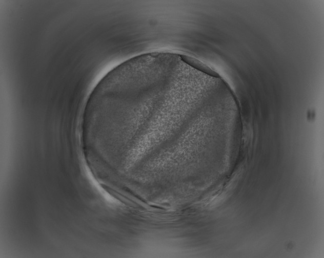 X0000092231007200710051215