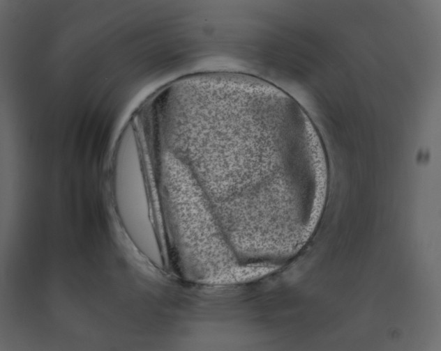 X0000092231008200710051215