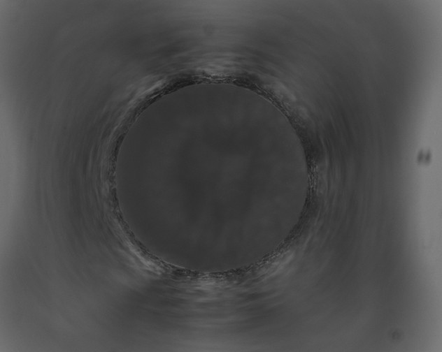 X0000092231009200710051214