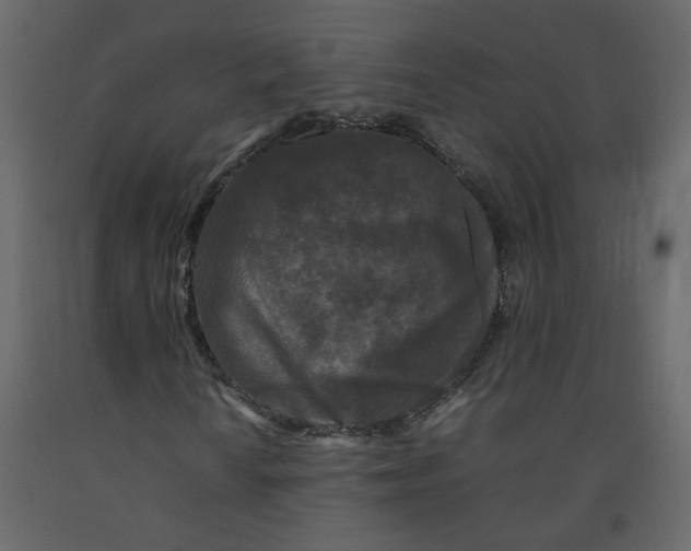 X0000092231010200710051214