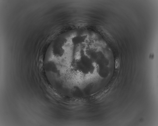 X0000092231011200710051214