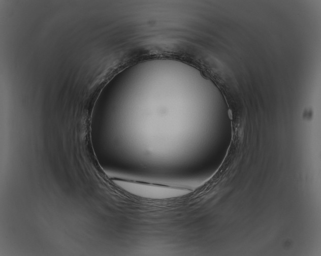 X0000092231012200710051214