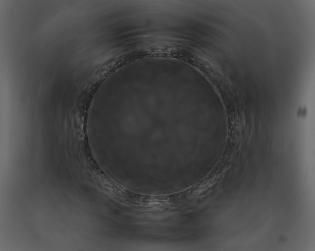 X0000092231013200710051214