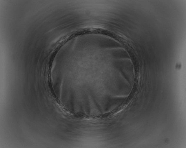 X0000092231014200710051214