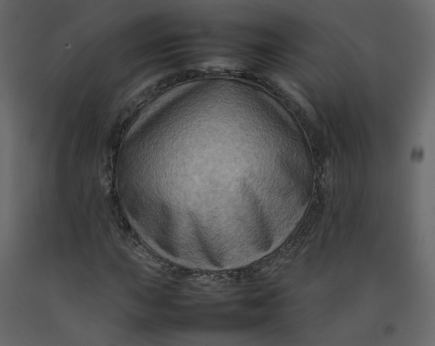 X0000092231015200710051214