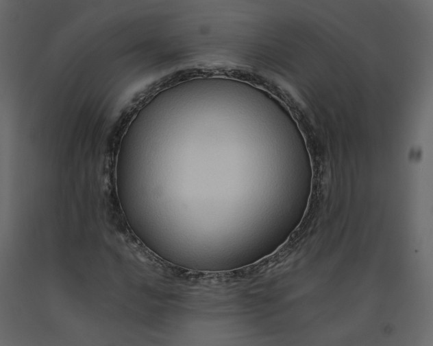 X0000092231016200710051214