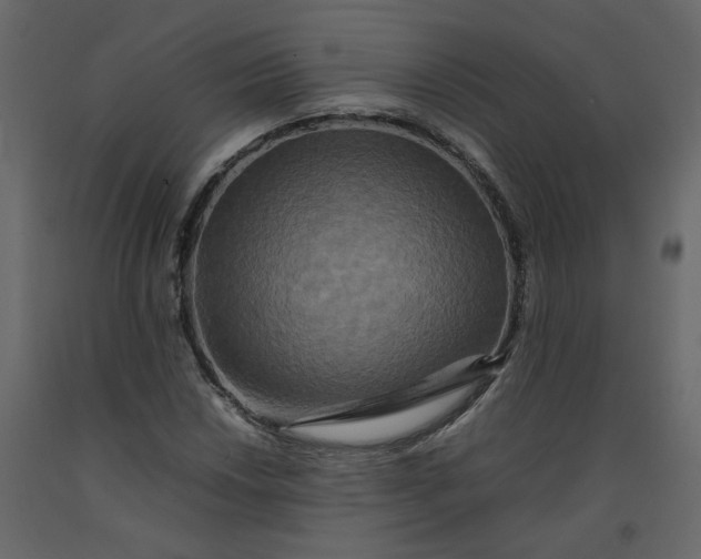 X0000092231018200710051214