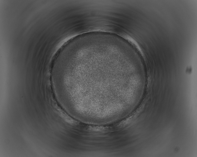 X0000092231019200710051214