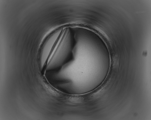 X0000092231021200710051214