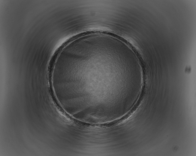 X0000092231022200710051215