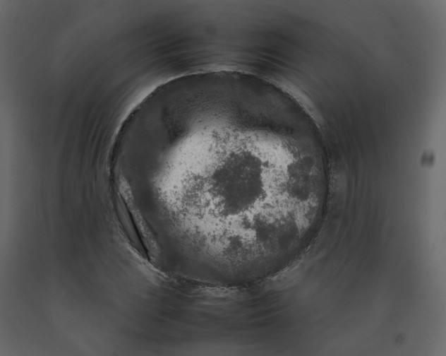 X0000092231023200710051215