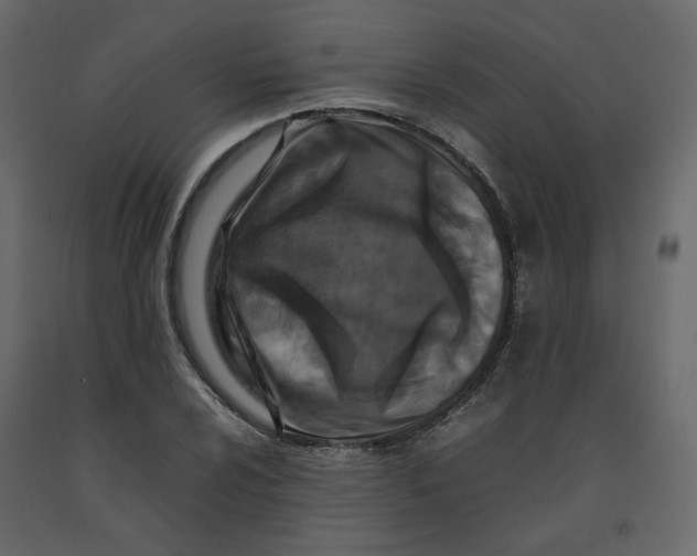 X0000092231024200710051215