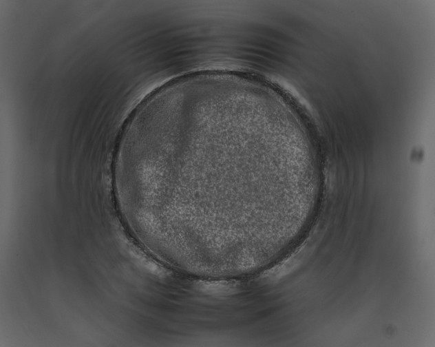 X0000092231025200710051215