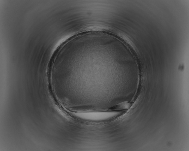 X0000092231026200710051215