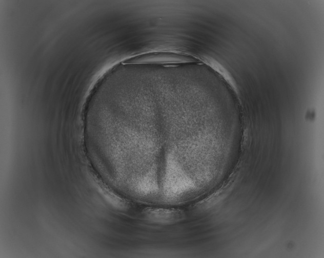 X0000092231027200710051215