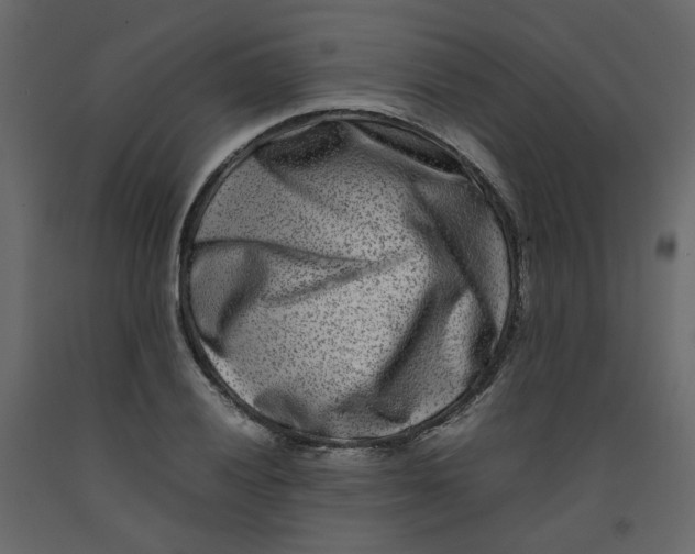 X0000092231028200710051215