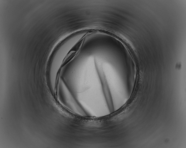 X0000092231029200710051215