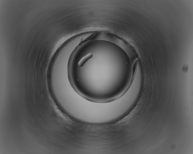 X0000092231030200710051215