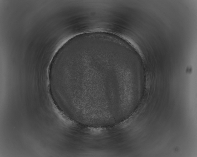 X0000092231031200710051215