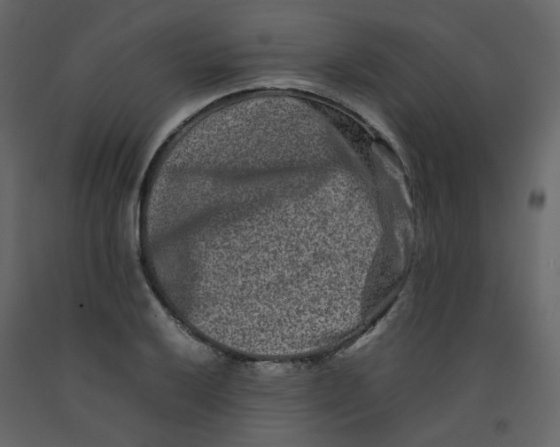 X0000092231032200710051215