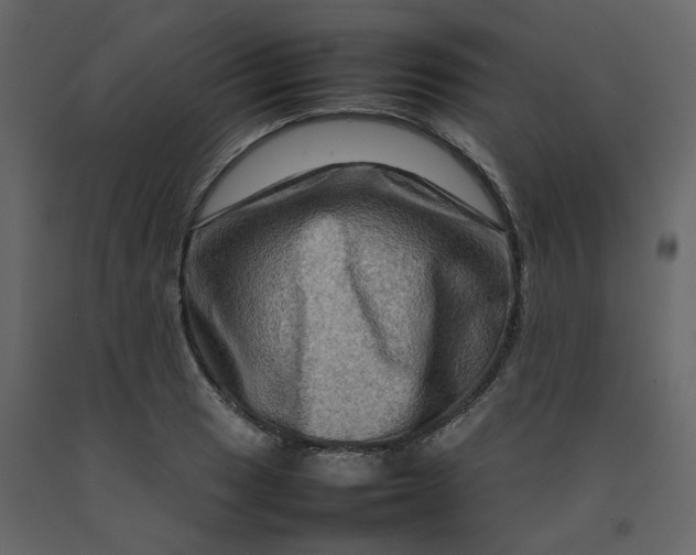 X0000092231033200710051215