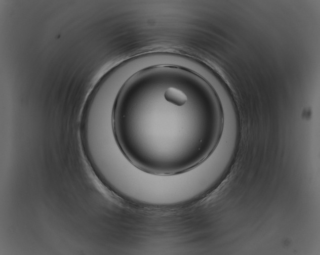 X0000092231034200710051215