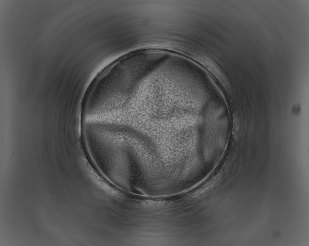 X0000092231036200710051215