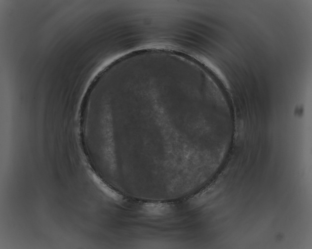 X0000092231037200710051215