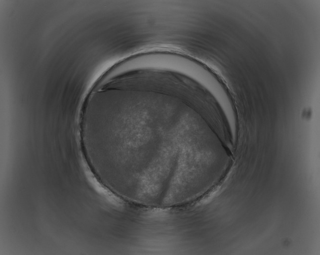 X0000092231038200710051215