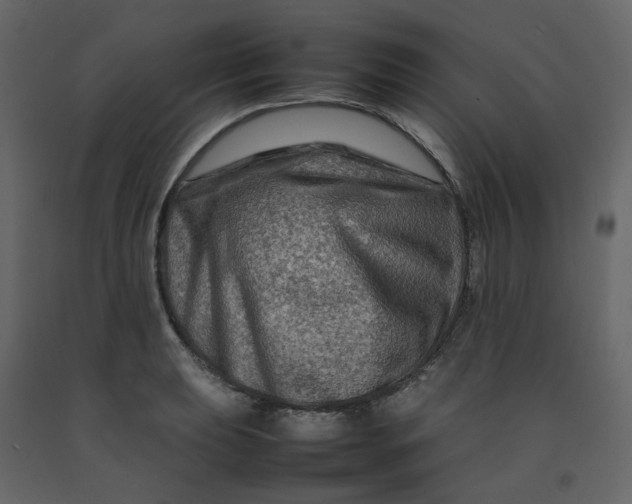 X0000092231039200710051215