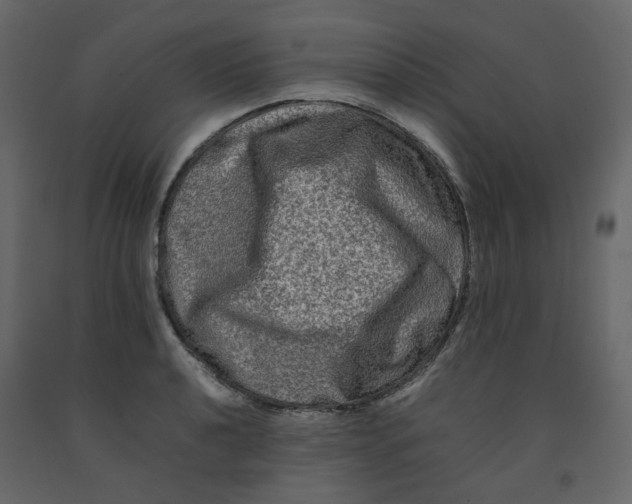 X0000092231040200710051215