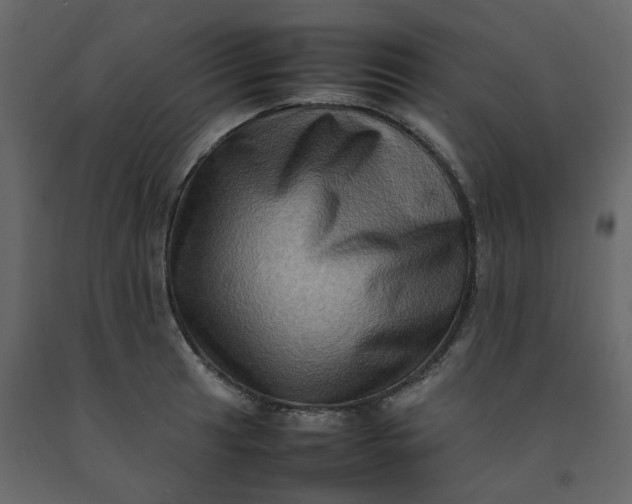 X0000092231041200710051215