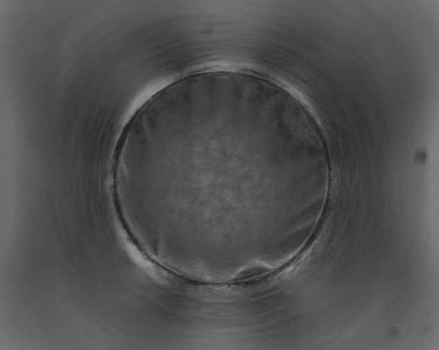 X0000092231042200710051215