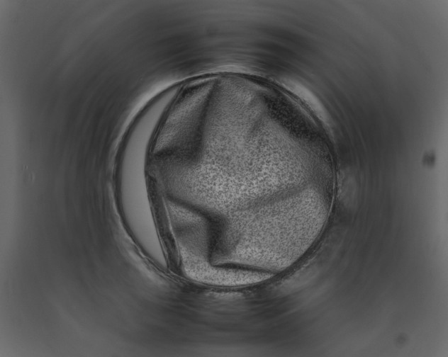 X0000092231043200710051215