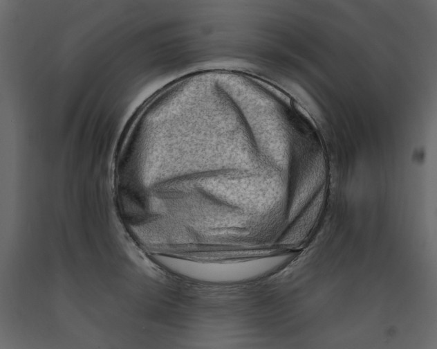 X0000092231044200710051215